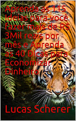 Aprenda as 115 Ideias para você fazer mais de R$ 3Mil reais por mês e Aprenda as 40 Dicas para Econo