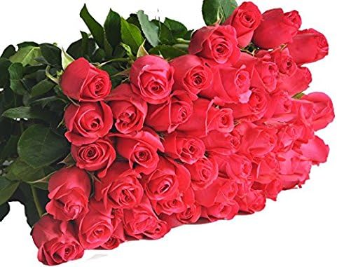 Miniatura 2 de Blooms2Door Flores - 25 Rosas Rosadas (Fresco - 19.7 in). Regalo para cumpleaños, condolencias, aniversario, recuperarse, gracias, San Valentín, Día