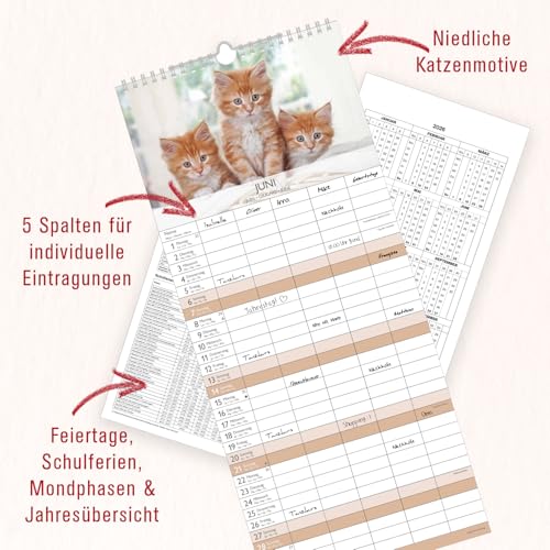 Alpha Edition - Kätzchen Familienkalender 2026 – Wandkalender 19,5×45 cm mit 5 Spalten & Feiertagen, süße Katzenmotive, praktischer Terminplaner für Familien, Paare & Katzenliebhaber: by Sabine Rath