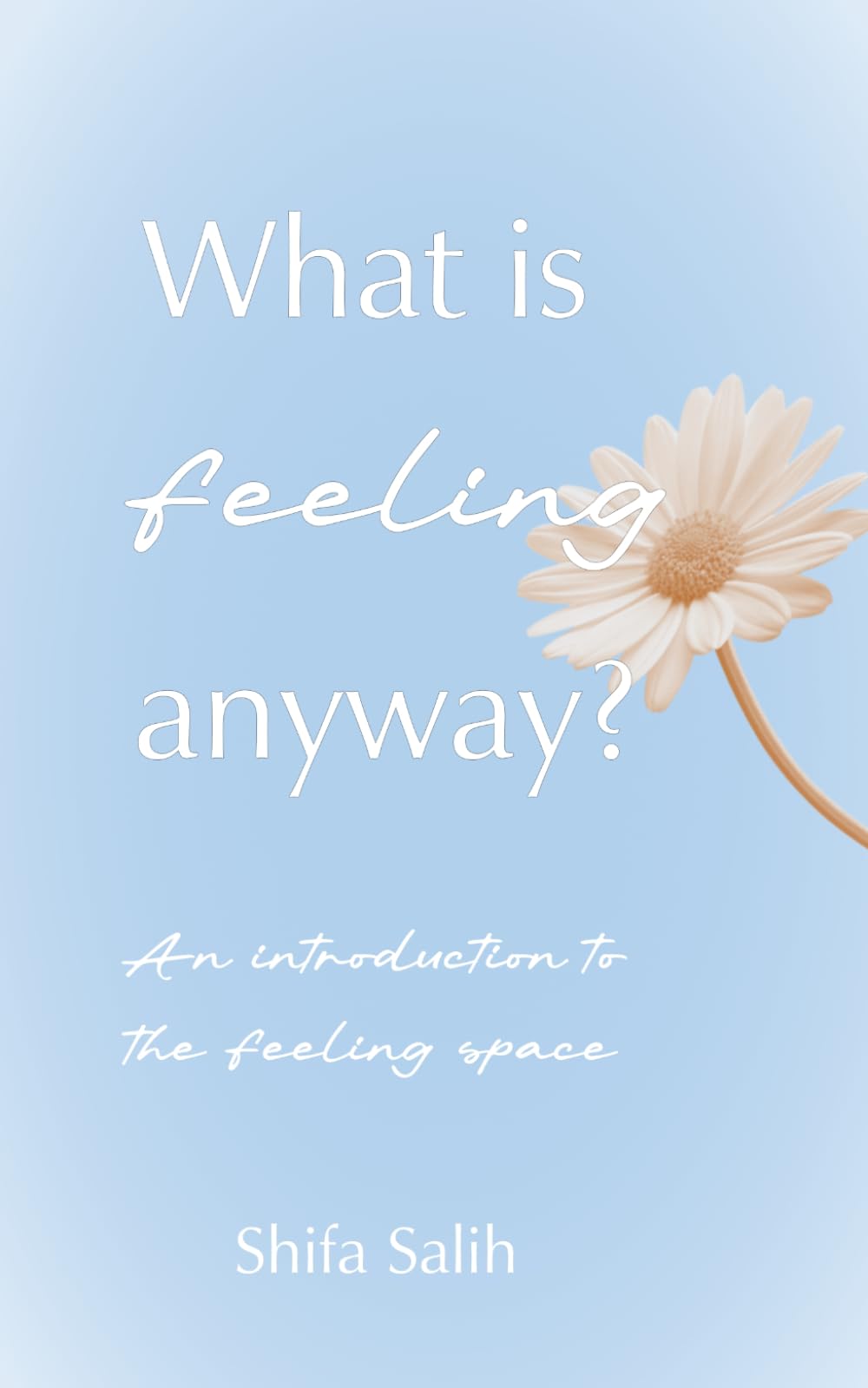 What is feeling anyway?: An introduction to the feeling space