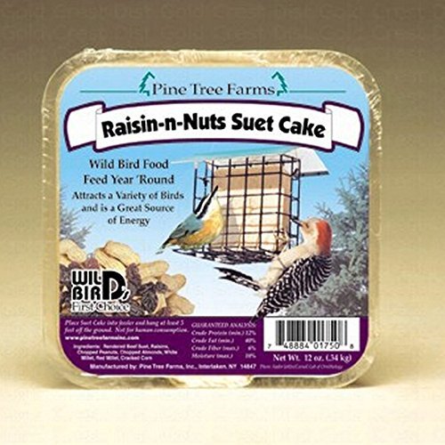 12 oz Raisin-N-Nut Suet Cake [Garden & Outdoors]