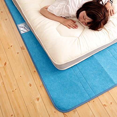 Amazon｜乾っとプラスデオシート 消臭除湿シート シングル 国産 TEIJIN