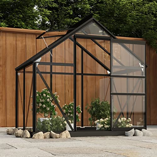puraday Gewächshaus im Garten Glas Anthrazit 155x103x191 cm Aluminium Gewächshaus Klein Frostschutz Pflanzen Winterschutz Gemüsehaus Treibhaus Gerätehaus Tomatenhaus UV-beständig&Wärmegedämmt