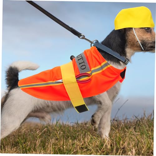 Disfraz para perro tamaño L color naranja miniatura 4