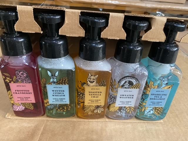 Bath and Body Works Foaming Hand Soaps - Set of 5 Gentle Foaming Soaps (Chilly Day Essentials)