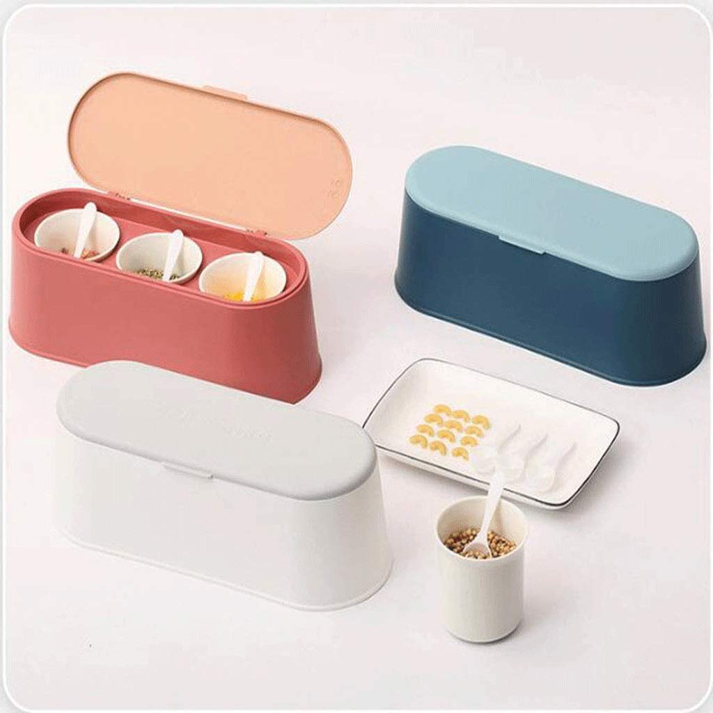 XYNSNDB GaRcan Juego de Caja de condimentos para Especias, Sal, azúcar, vinagrera, Recipiente para Cocina, Botellas de condimentos de Acero Inoxidable con Tapa (Color: B) (A)