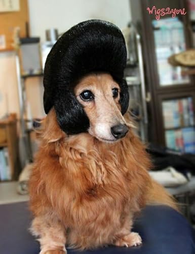 Wigs2you.com jp ybgEBbO [WFgbN IWilCi ʐ^BeɍœK LpRX`[ RXv LpybgObY t@Co[gp i`ȕ ϔM Snǂ Lbvt(P-027)