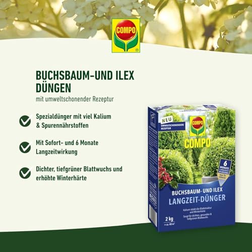 COMPO Buchsbaum- und Ilex Langzeit-Dünger, Für Buchsbäume, Stechpalmen und Hecken, Umweltschonendere...
