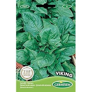 Germisem EC7017 Viking Spie Zaden 15 g