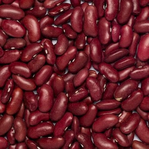 Wholefood Earth Organic Red Kidney Beans 1kg Raw | Vegan | GMO Free | Dark Red | High Fibre | High Protein | Certified Organic