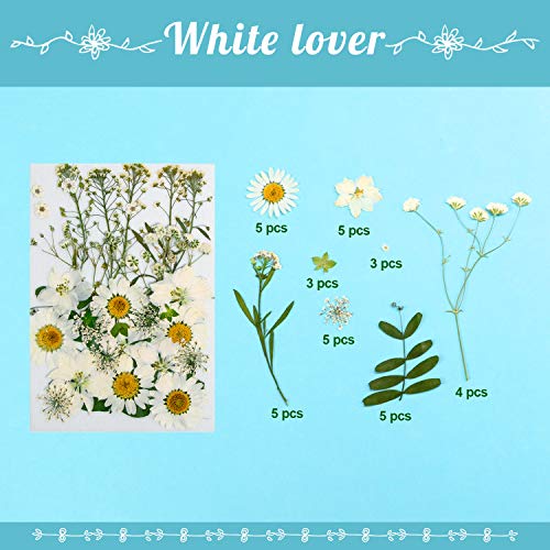 Dried Flowers-116 PCS Natural Dried Flower Herbs Kit for Bath, Soap Making, Candle Making and DIY Resin Jewelry Making Art Floral Decors