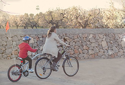 WeeRide Kazam Co-Pilot Bike Trailer, Green