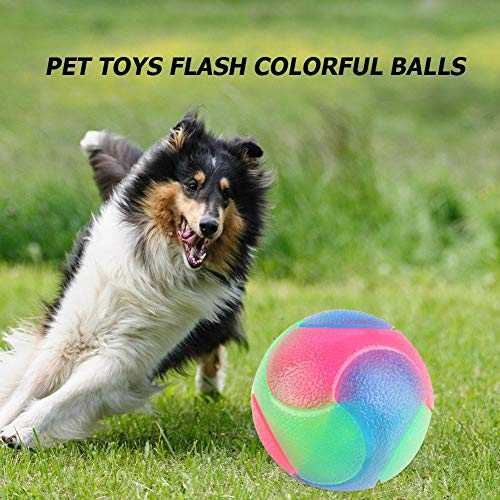 WinnerEco-US Bolas de cachorro com elástico piscando bola interativa escura para animais de estimaçã
