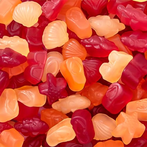 Tropical Fruit Jelly Candy Mix, Dye Free Candy, Vegan Gummies, 1 Lb Bag | Naturally Flavored, Real Fruit Puree, Assorted Flavors - image 1