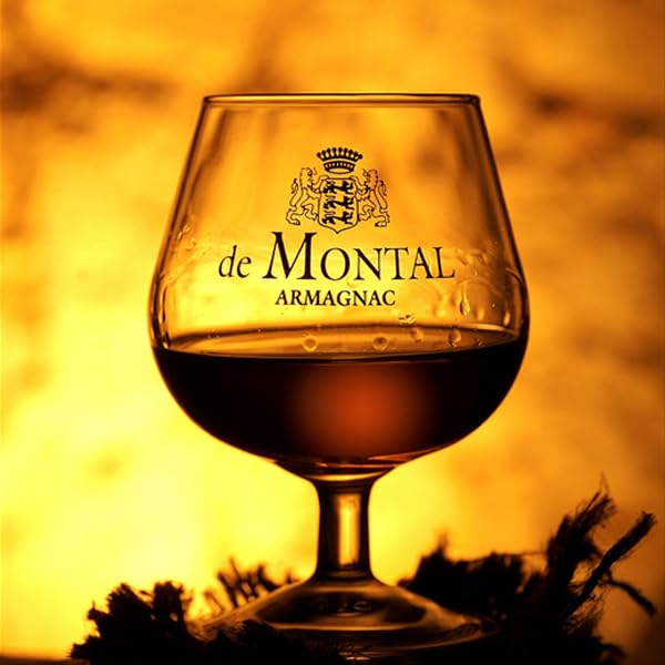Amazon.co.jp: ド・モンタル アルマニャック 700ml 2013年 (平成25年