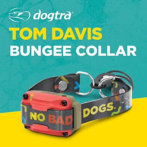 Image of Dogtra Tom Davis Bungee Collar Comfortable Easy Fit Compatible with Tom Davis Edition 280C Dog Training E-Collar 3 /4 inch Inch Strap Receivers