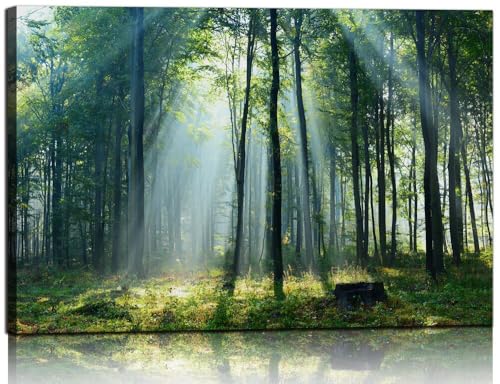 Nature Wall Art Green Forest Canvas Pictures Scenery Wall Art with Sunshine Photo Modern Tree Landscape Art Prints Decor Beautiful Mountain Artwork for Living Room Bedroom Kitchen Home Office Decorations 24x36inch