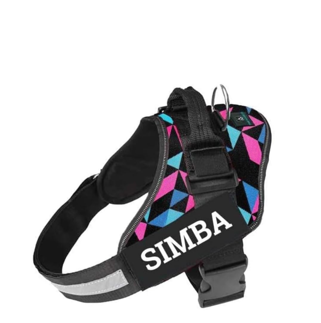 Customized Dog Vest Harness with Pet Name, Personalized Dog Belt with Dog Name, No Pull Harness Reflective Vest Harness Belt Adjustable (Retro, Large)