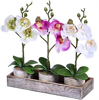 Set of 3 Fake Orchid Assortment Mini Potted Orchid Plants with Wood Planter