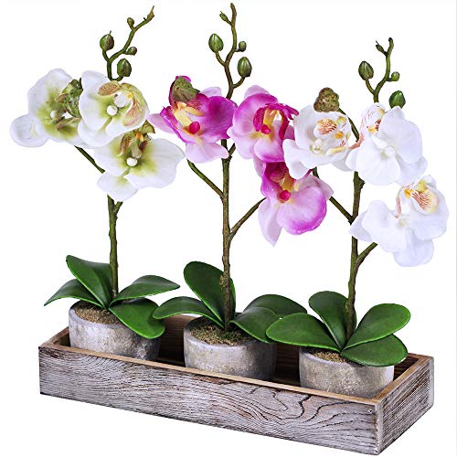 Set of 3 Fake Orchid Assortment Mini Potted Orchid Plants with Wood Planter Box Artificial Phalaenopsis Orchid Flowers in Pots for Indoor Office Desk Room Kitchen Table Décor Centerpiece Multicolor