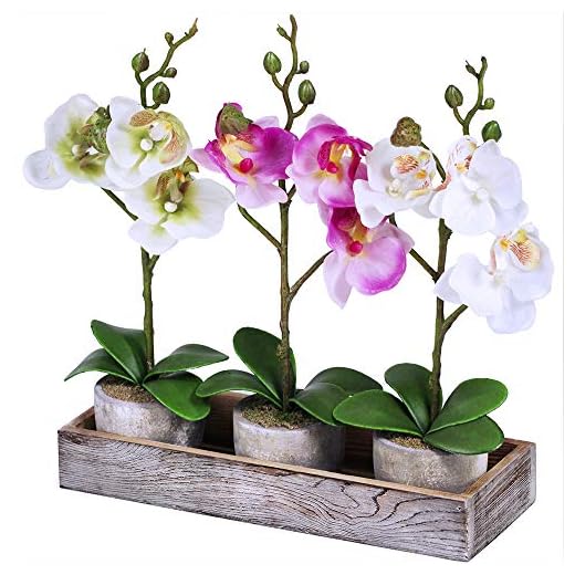 Set of 3 Fake Orchid Assortment Mini Potted Orchid Plants with Wood Planter Box Artificial Phalaenopsis Orchid Flowers in Pots for Indoor Office Desk Room Kitchen Table Décor Centerpiece Multicolor