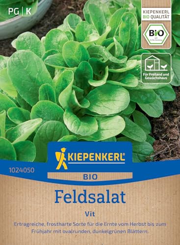 Kiepenkerl Feldsalatsamen Vit 1024050 - Ertragreiche frostharte Gemüsesamen mit aromatischen Blättern ideal für Salate und Winternutzung Pflanzen für 15 lfd. Meter