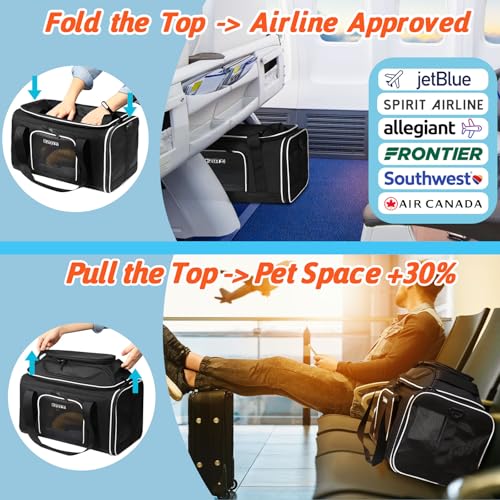 Petskd-Top-Expandable-Pet-Carrier-17x12x85-Inches-JetBlue-Frontier-Spirit-Airline-Approved-Soft-Sided-Carrier-for-Small-Cats-and-Dogs-with-Locking-Safety-Zippers-and-Anti-Scratch-MeshBlack Petskd Top Expandable Pet Carrier 17x12x85 Inches JetBlue Frontier Spirit Airline Approved Soft Sided Carrier for Small Cats and Dogs with Locking Safety Zippers and Anti Scratch MeshBlack