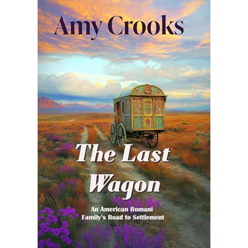 The Last Wagon Audiolibro Por Amy Crooks arte de portada