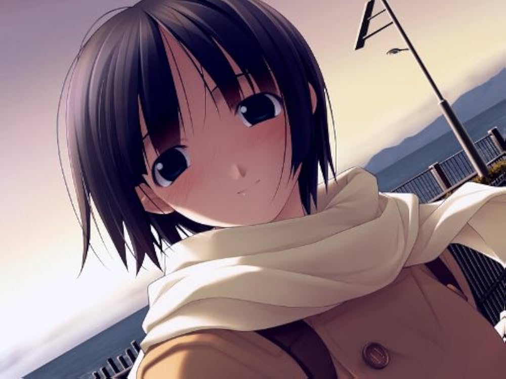 ホワイトブレス パーフェクトエディション(通常版) - PSP wgteh8f Amazon.com: ホワイトブレス パーフェクトエディション(通常版