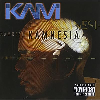 Kamnesia