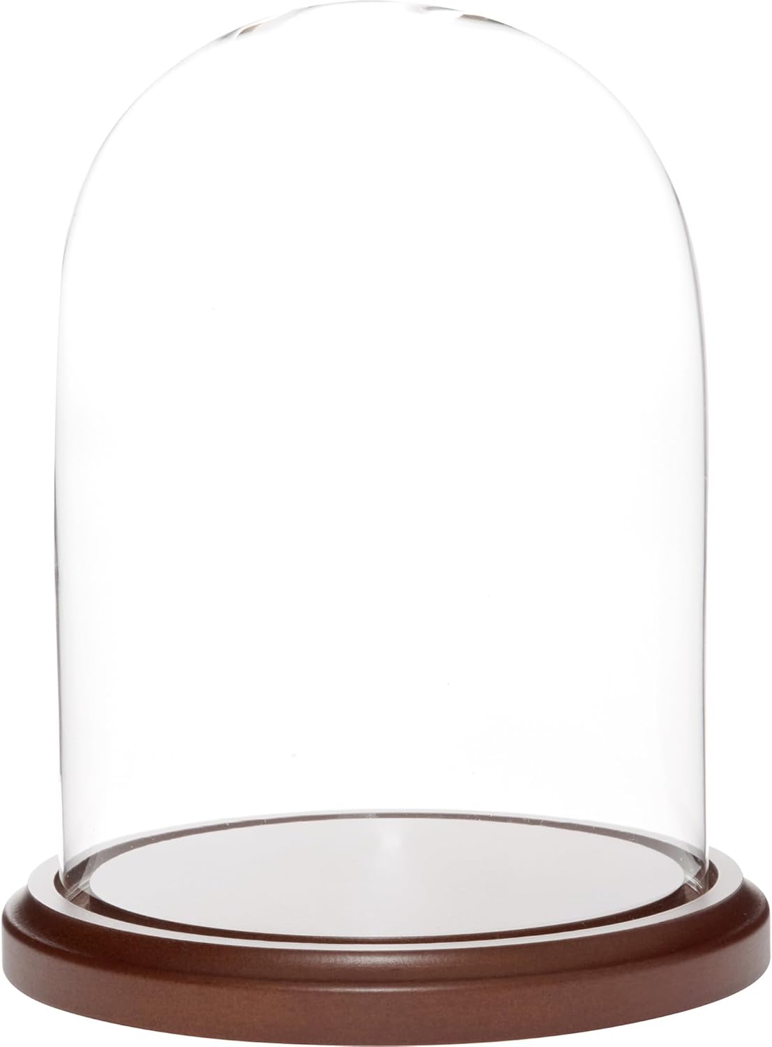 Plymor 5.5" x 8" Glass Display Dome Cloche (Black MDF Wood Base)