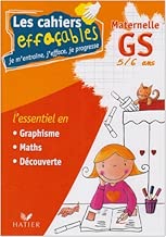 Download Les cahiers effaçables GS PDF