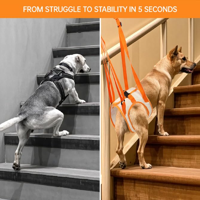 Image of Paralyzed Dog Harness with Hind Leg Support - Small Sized Dog Sling, Adjustable Lift Harness, Hip Dysplasia Brace & ACL Tear Aid for Elderly Dogs - Alternative to Dog Wheelchair