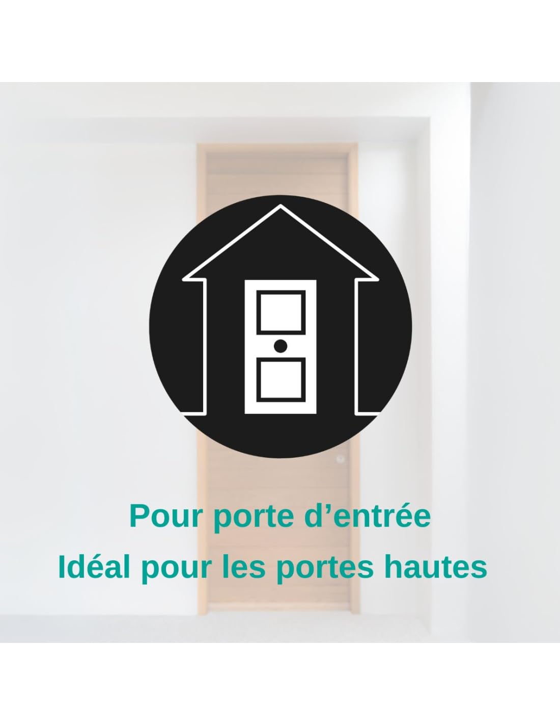 THIRARD Verrou à Bouton et Cylindre Acier Cylindre 45 mm Verni