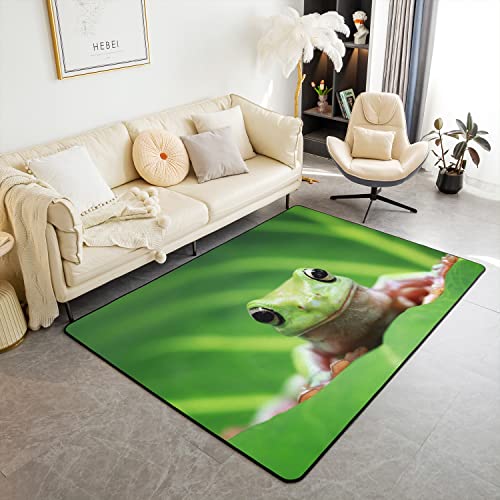 Loussiesd Frog Rugs for Living Room Bedroom Full Kawaii Decor Area Rug for Kids Tropical Amphibian Indoor Floor Mat Teens Animal Print Green Accent Rug 150 * 200cm
