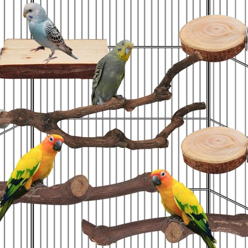 Image of 6 PCS Natural Bird perches for Budgies Parrot perches for Medium Birds Branch Perches Parakeet Bird Platform Stand for Small Parakeets, Budgies, Cockatiels, Conures, Macaws, Finches