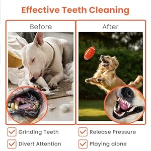 Dog-Toys-Rugby-Squeaky-Dog-Toys-for-Aggressive-Chewers-Rubber-Tough-Dog-Toy-Ball-Durable-Football-Dog-Toys-for-Small-Medium-Large-Dog-Breeds-Dog-Chew-Toys-Orange - Cucciolini Doodles   Dog-Toys-Rugby-Squeaky-Dog-Toys-for-Aggressive-Chewers-Rubber-Tough-Dog-Toy-Ball-Durable-Football-Dog-Toys-for-Small-Medium-Large-Dog-Breeds-Dog-Chew-Toys-Orange