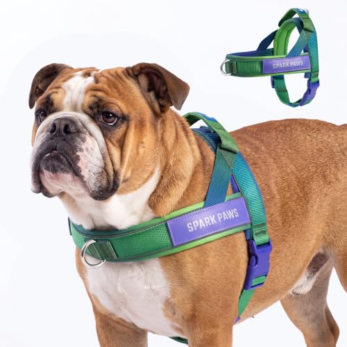 Image of Spark Paws No Pull Front Clip Dog Harness - Easy On, Padded and Lightweight | Two Clips, On in Seconds, Chest Bearing, Australian Style, No Throat Pressure, for Small Medium and Large Breeds