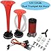 Dual Trumpet Air Horn with Compressor,12V 135db Air Horn Kit,for Any 12V Vehicles Trucks Lorrys Trains Boats Cars Motorcycle SUV Vans,Small Dual Trumpet Horn,Easy to Install, By LIYYOO