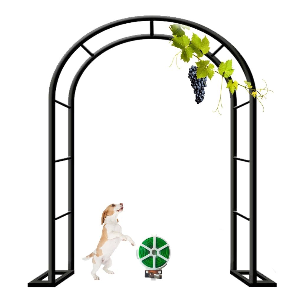 Kratka ogrodowa, pnącza, łuk, altana zewnętrzna, 80 cm szer. x 200 cm wys., metalowa altana z podstawą, altana ślubna na zewnątrz, trawnik, patio (czarna, 160 x 220 cm / 70 x 87 cali)