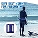 Tellegloww 4 Pcs Dive Weights Belt for Scuba Diving Coated Dive Weights Nylon Dives Belt with 1 Metal Quick Release Buckle for Free Diving Spear Fishing(2.2 lb,Blue)