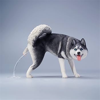 Amazon | Mr.Z 1/6 サイズ シベリアン・ハスキー可愛い 滑稽 犬