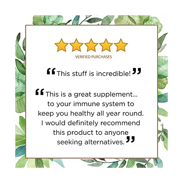 Quantum-Health-Super-Lysine-Advanced-Formula-Lysine-Immune-Support-with-Vitamin-C-Echinacea-Licorice-Propolis-Odorless-Garlic-180-Tablets-Packaging-may-vary Quantum Health SuperLysine+ Advanced Formula Immune Support Supplement Lysine 1500 mg, Vitamin C Echinacea Licorice Bee Propolis & Odorless Garlic Daily Wellness Blend for Women & Men - 180 Tablets