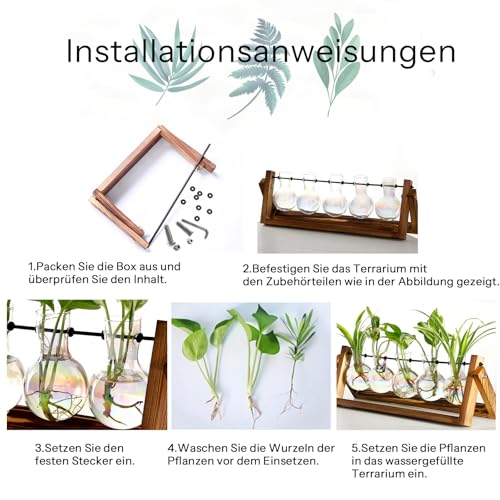XXXFLOWER Propagation Station Vintage 5 Glaskugeln,Ableger Pflanzen Glas mit Holzständer,PlantsTerrarium,Glas Reagenzgläser Blumen,Hydroponik Blumenvase,Kleine Vasen Tischdeko,Zimmerpflanzen Zubehör