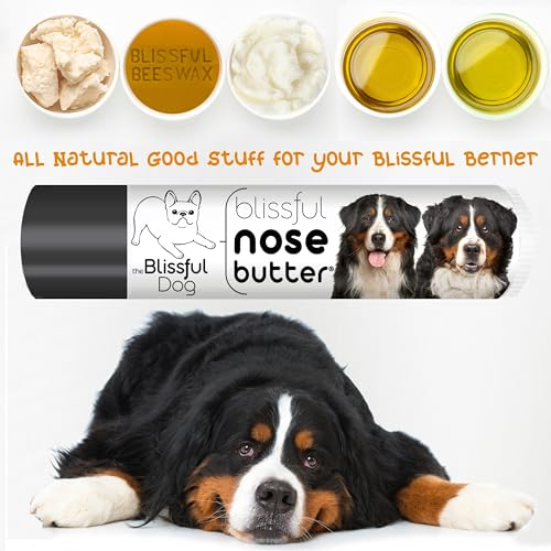 Image of The Blissful Dog Bernese Mountain Nose Butter, Versatile Dog Nose Balm for Dry Nose, Handcrafted Nose Moisturizer, Easy-to-Apply Dog Essentials, Unscented, 0.15 oz.