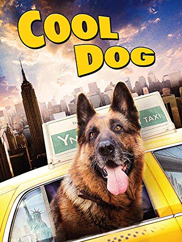  Cool Dog