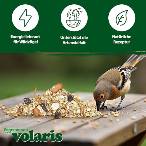 Eggersmann volaris Terrassenkörner mit Insekten 2,5 kg – Schalenfreies Wildvogelfutter mit Mehlwürmern, Sonnenblumenkernen UVM. – Ganzjahresfutter, Protein- & energiereich – Streufutter für Wildvögel