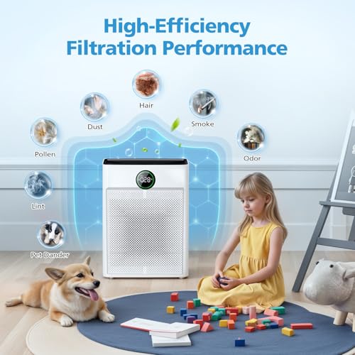 Image of 2 Pack PR1 Replacement Filter for Mooka Mode PR1 Air Purifier, H13 True HEPA Filter for Home Large Room up to 2200sq.ft, includes 4pcs Washable Pre Filter Removes Pollen Dander Smoke Pet Hair Dust