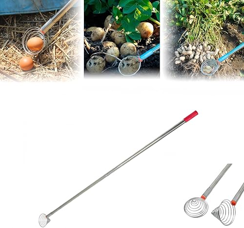 Peanut Picker Egg Grabber 2025 New Stainless Steel Nut Gatherer Egg Grabber Tool Suitable Multifunction Potato Picking for Farm Chicken House Crops Portable Picking Gifts (1 Pcs)
