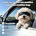 PETLESO Hundebrille Hundeschutzbrille Hunde Sonnenbrille Anti-UV Schutz Augenschutz für Kleine/Mittelgroße Hunde